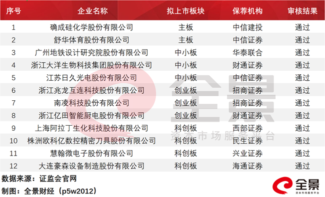 科技浪潮中的新航标，2025创业板IPO排队名单更新版揭秘