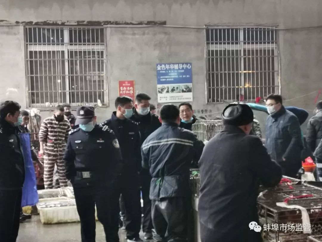 蚌埠最新疫情，科技先锋引领健康新生活