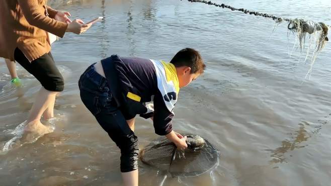 最新赶海视频教程，赶海步骤指南