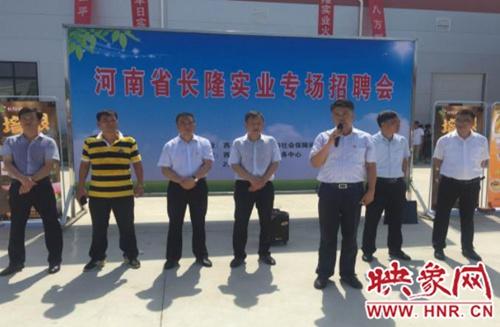 西平最新招聘信息，科技革新驱动，职场新纪元启航