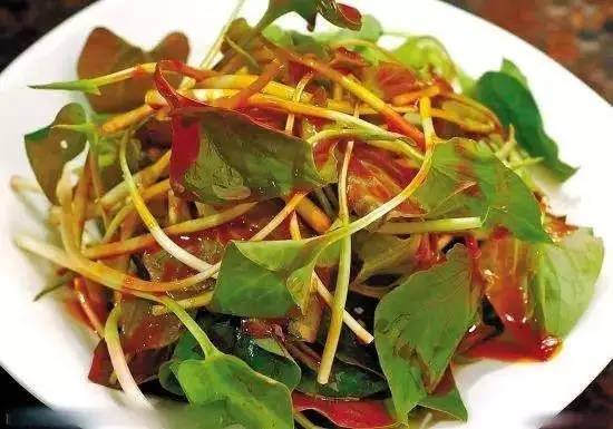 耳根最新，探寻小巷中的美食宝藏，揭秘隐秘美食之旅