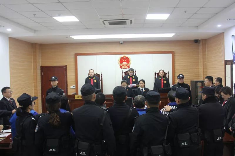莒南最新案件深度解析，背景、进展与影响探究