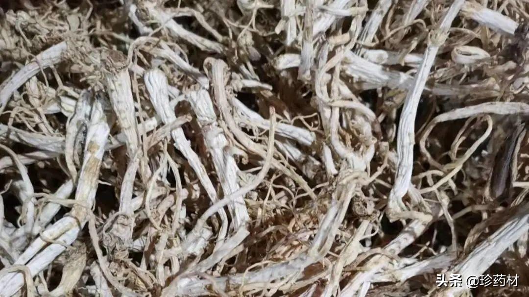 白芍最新市场行情解析，一文掌握白芍最新价格动态！